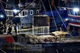 海蜇开捕载满船图片