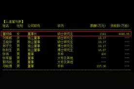 确实不差钱！年薪超1000万、持有格力股票超17亿元的董明珠称一年拿几百万愿意多承担一点税图片