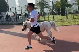 跑马跑马，这位义乌市民的减肥搭子竟是一匹小白马图片