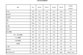中国大蒜年度供需平衡表图片
