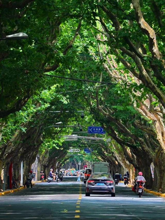 “域见上海”旅超大赛徐汇专属优惠来袭，开启精彩文旅之旅