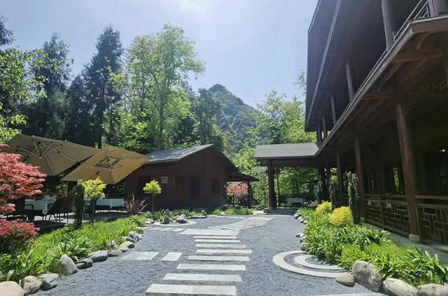 青睐绵阳 ‖ 云端公路 层林尽染！初冬驾游平武药丛山，限定版的视觉盛宴~