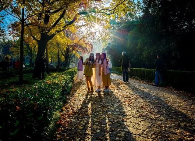 清晨5点，南京这里开始上人了