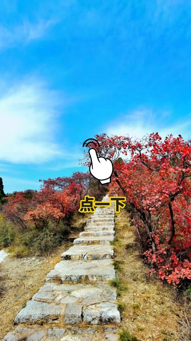你拍的红叶总“差点意思”？问题可能出在第一步！
