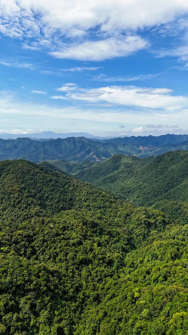 图观白沙 | 白沙山城的绿意秘境