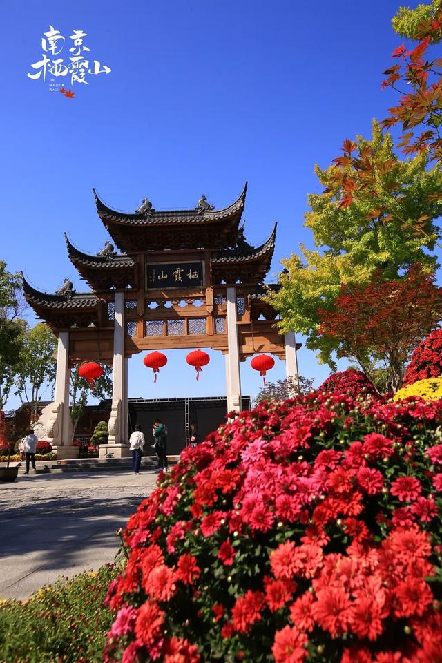 【重阳福利】敬老登高，栖霞山观光车 99 席秋日专列+礼品速领！