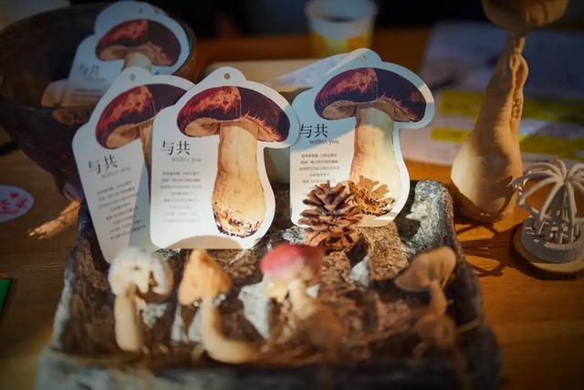 来东城这个胡同小院，邂逅蘑菇精灵的童话秘境——