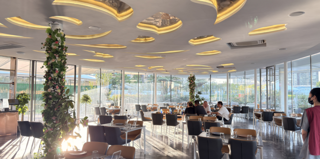 来南沙看五月天！看海、骑行……100+网红打卡点合集→