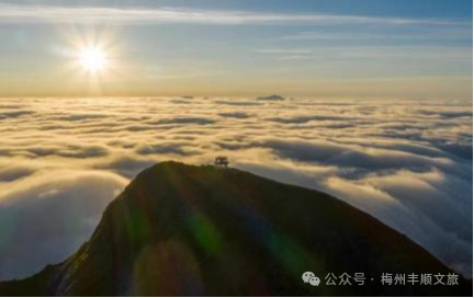 又火了！丰顺铜鼓峰“四大”景观，到底有多美？