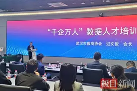 武汉拟为千余家企业培训数据师，让沉睡的数据苏醒“入表”图片