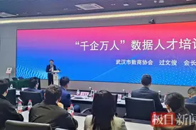 武汉拟为千余家企业培训数据师，让沉睡的数据苏醒“入表”图片
