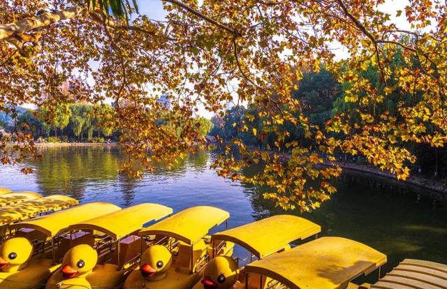 秋冬限定的普陀，美到让人流连忘返，你还不来打卡吗？