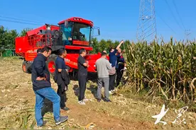 山东省农机院研发小行距玉米收获机，让玉米机收减损降至1.2%图片