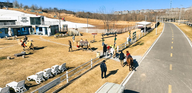 东天山骆驼队抵达忆江南度假区休整 豫疆文化交流盛典启幕