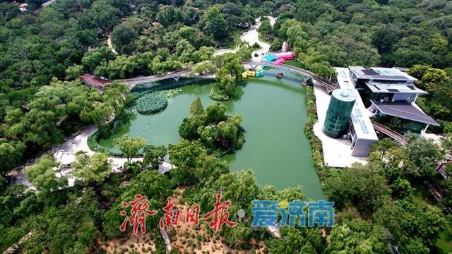 一年四季 泉在济南丨初秋泉城公园绿意未减色更浓