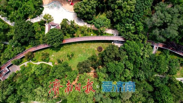 一年四季 泉在济南丨初秋泉城公园绿意未减色更浓