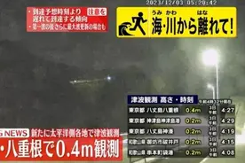 日本多地接连观测到海啸 东京都八丈岛海啸最高图片