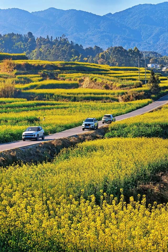 这条路超美超出圈！2月1日，一起来跑吧！