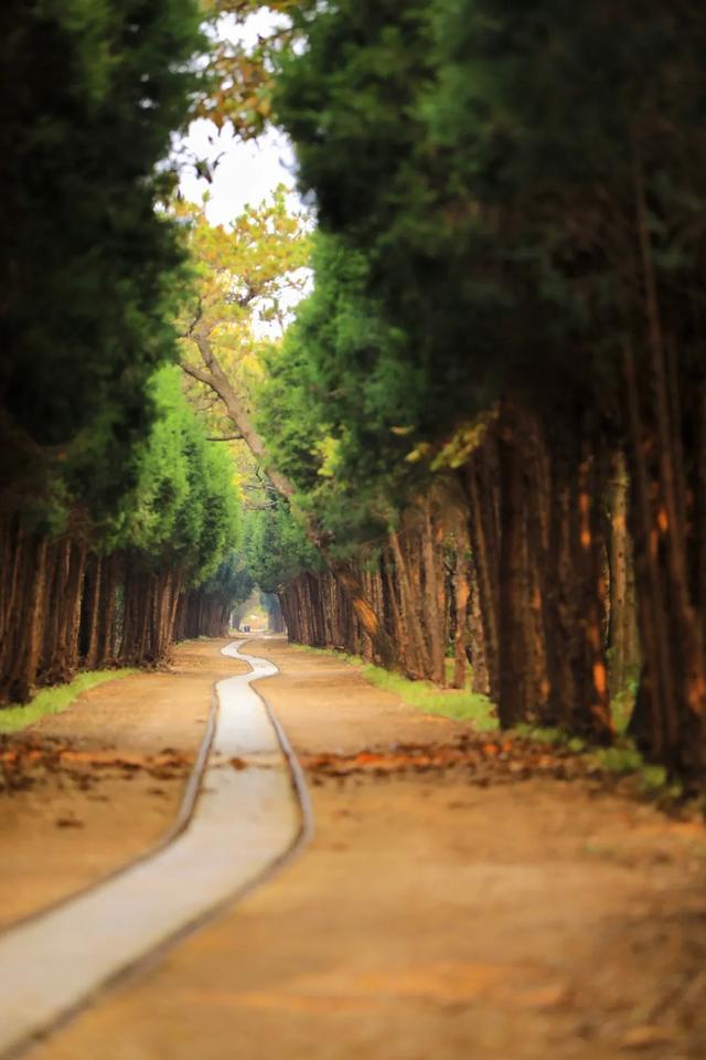 日照人的嘴是真严啊！这里都美成啥了！