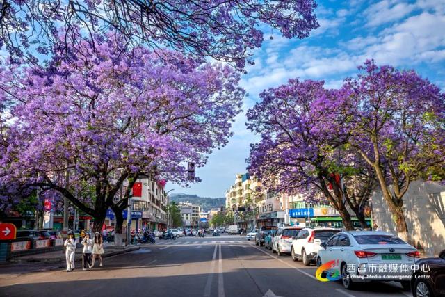 西昌着力打造国际阳光康养旅居目的地