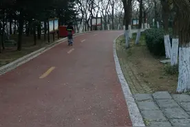 女儿的求学之路图片