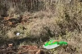 可可爱爱！云南警局里的小动物快挤不下了……图片