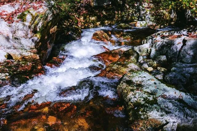 你的周末含“秋”量是多少？来秦岭测测！