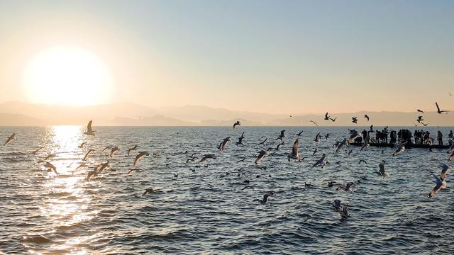 看日出、追红嘴鸥、拍婚纱……总要去一次大理龙龛码头吧！