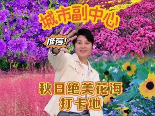 北京号最精彩 | 绝美！京郊“流金走廊”已上线