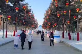 文化中国行｜太阳岛雪博会：雪雕巨作惊艳世人图片