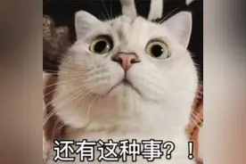 三个女子掉进同一个“坑”……图片