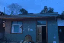 房屋被烧成空架子！消防员救羊又救狗！图片