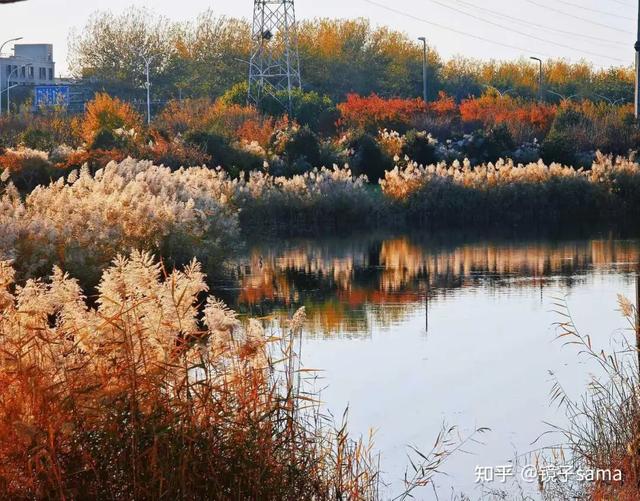 如何描述“北京的秋”？这是一期有温度的推送……