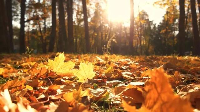 余杭初冬藏不住！这些秘境绝美~