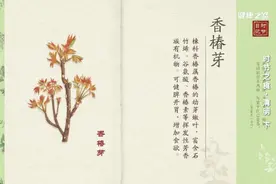 香椿芽、花椒芽、榆钱，春日芽菜好处多！图片