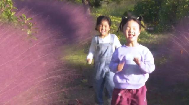 南海新区：粉色花海编织限定浪漫