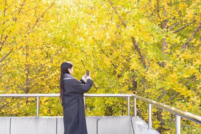 限时绝美！年度顶流！