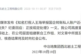 国企转账私人账户近6亿元？公司回应：组建联合工作组详细核查图片