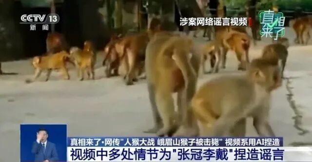 峨眉山爆发“人猴大战”，猴王逼女游客坠崖后被击毙？警方最新通报