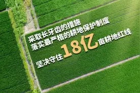 淄博市永久基本农田有了查询服务平台图片