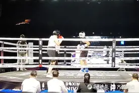 “闹海·拳击狂欢季”开赛，烟台父女俩上演同台竞技图片