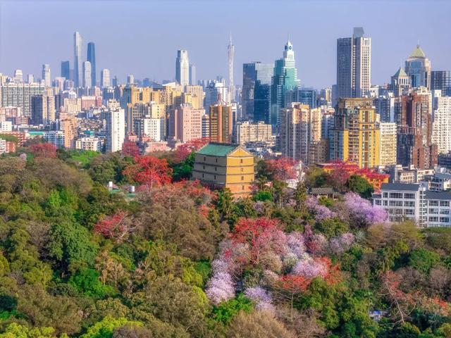 解闷必备！老城区徒步路线+2，探秘“百变”视觉廊道！