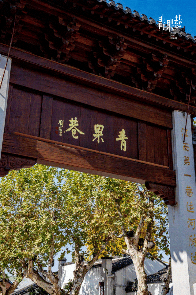 街头大量出现！常州人都已经捡上了