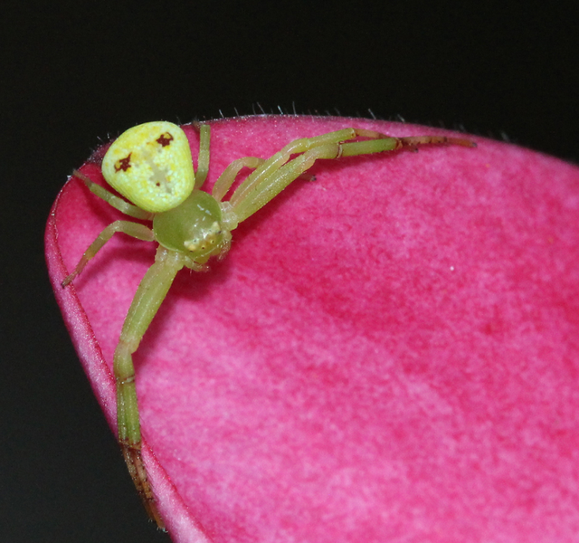 欢迎来到疯狂动物城·罗湖分城