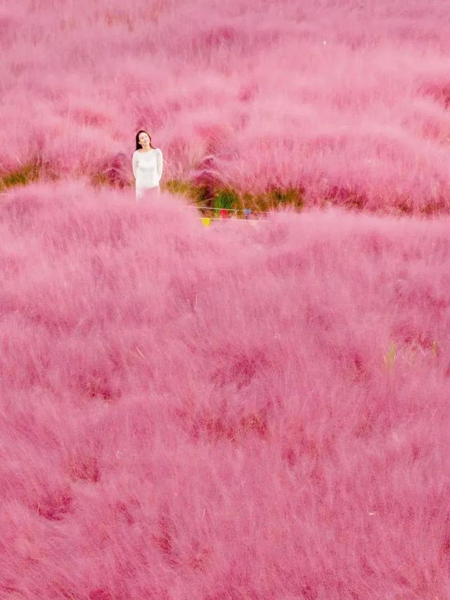 山东秋天的限定「色卡」，你集齐了吗？