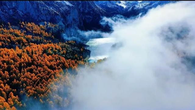 它都这么美了！差点忘记推给你了