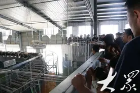 “科农文旅”欢乐不停，奥克斯奶牛科普庄园开园图片