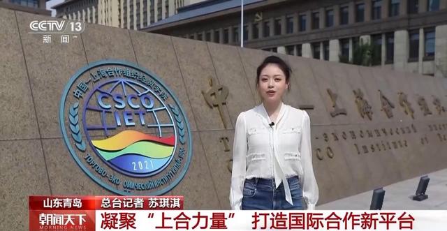 凝聚“上合力量” 山东青岛打造国际合作新平台