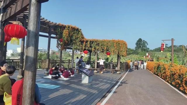 人从众！初三语堂故里迎客流高峰，这杯福茶香透芗城！