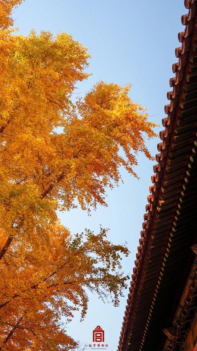 故宫秋日壁纸，上新了！